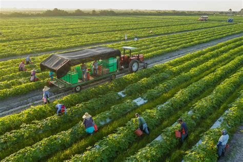  Farming Wisdom for Sustainable Futures: A Poetic Exploration of Land Stewardship - Unveiling Nature's Secrets Through Timeless Practices